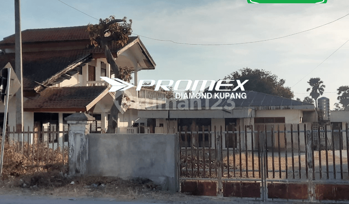 LAND FOR RENT IN STRATEGIC LOCATION, OESAPA AREA, KUPANG CITY, NTT
