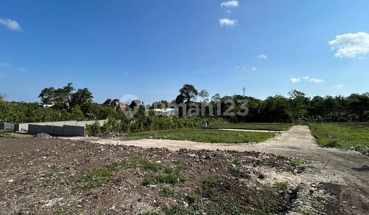 Tanah Kavling Ekslusive Harga Ekonomis View Sawah di Kota Tabanan