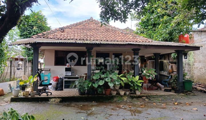 Rumah Bagus 1 Lantai