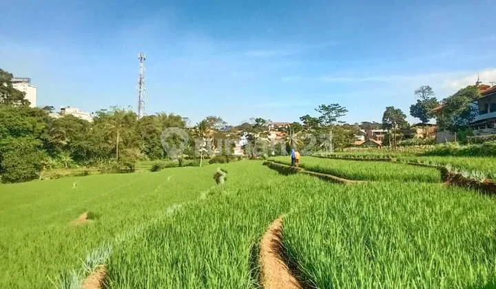 Tanah Strategis dekat Universitas di Jatinangor Bandung