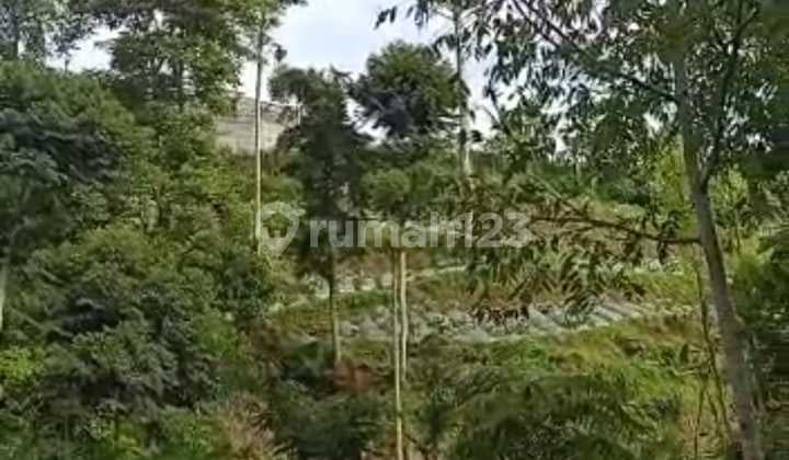 Tanah Murah Murah di Cibolang, Cisarua, Bandung Barat