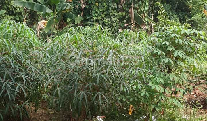 Tanah Strategis Dekat Terminal Bus Bekasi, Margahayu, Bekasi Timur