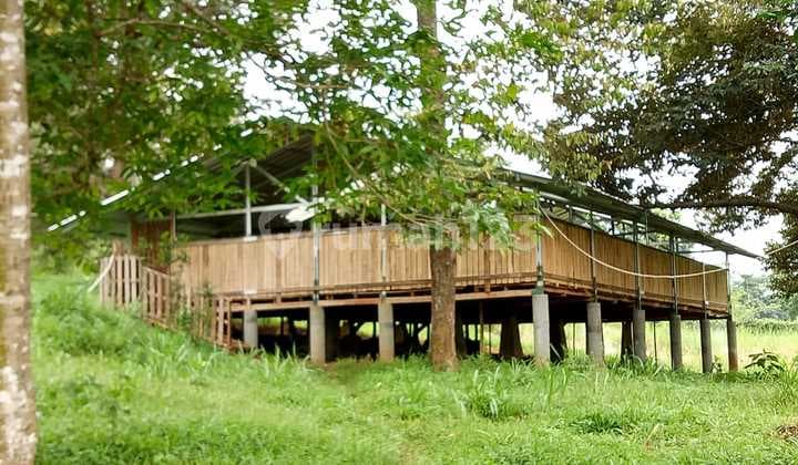Tanah Perkebunan Dan Peternakan Murah Luas 9468 M² Dekat Granada Land, Selawangi, Tanjungsari, Bogor