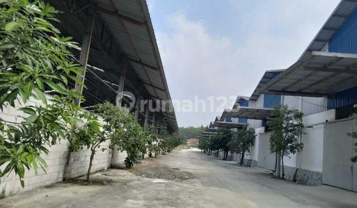DISEWAKAN Gudang bagus strategis pinggir jalan Sukagalih - Jonggol