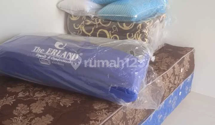 Apartment Gold Coast (1 Br)