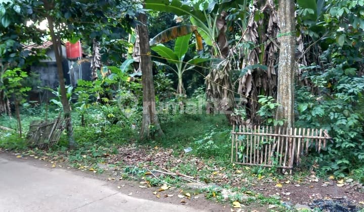 Tanah Kebun di Jalan H. Ma'mun Burangkeng Setu Bekasi