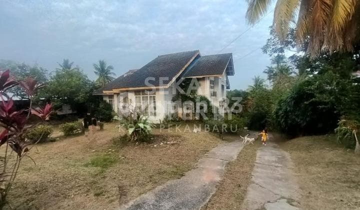 Dijual Tanah Bonus Rumah Jl.thamrin