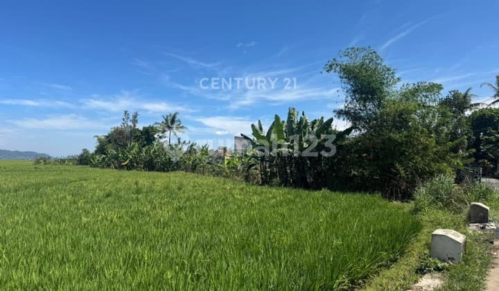 Land Ready to Build on Main Road Sapan Sumbersari Bandung