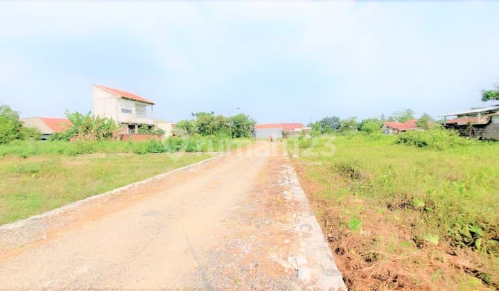 Tanah Kavling Cuma 1 KM ke Ipb Dramaga, Harga 2 Juta-An/M2