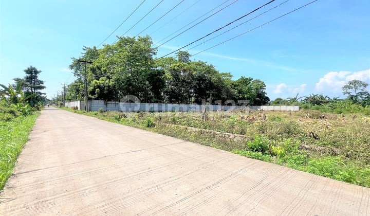 13 Minutes to Legok Toll Gate, Plots Suitable for Residence/Investment