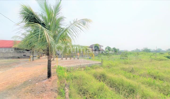 300 Meter ke Jl. Raya Dramaga Bogor, Tanah Dijual 200 Juta-An