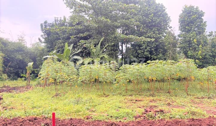 Kavling 1 Juta-An/M2, Row 5 Meter & 7 Menit ke Tol Burangkeng