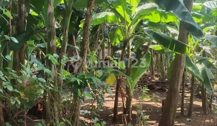 Di Jual Tanah Hook Murah Jati Asih Komsen Wibawa Mukti