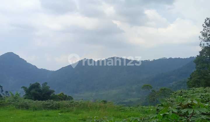 Jual Tanah Kavilng, 3000 Meter. Bogor