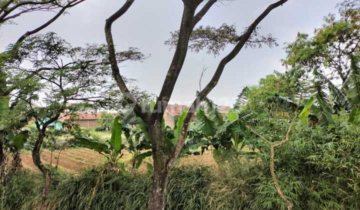 Jual Tanah Ciodeng Baleendah