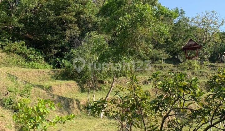 1 Hectare of Land Suitable for Hotels and Villas in Karangasem