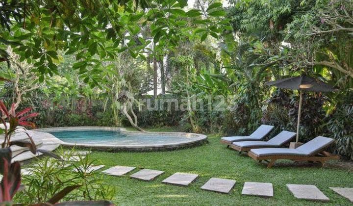 Villa Private Pool Halaman Luas View Sawah Di Ubud