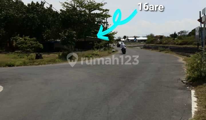 Tanah Langka dan Premium 16 Are di Serangan Mw