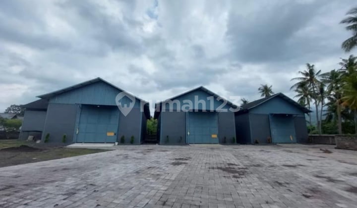 Gudang 2.4 Are dan Ruko di Lovina Singaraja Jl