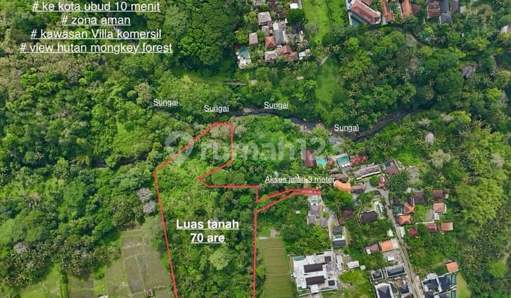 Di Jual Tanah View Hutan Dan Los Sungai Woww Ubud