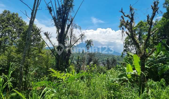 For Sale Premium Land with 3 Views in Payangan, Ubud