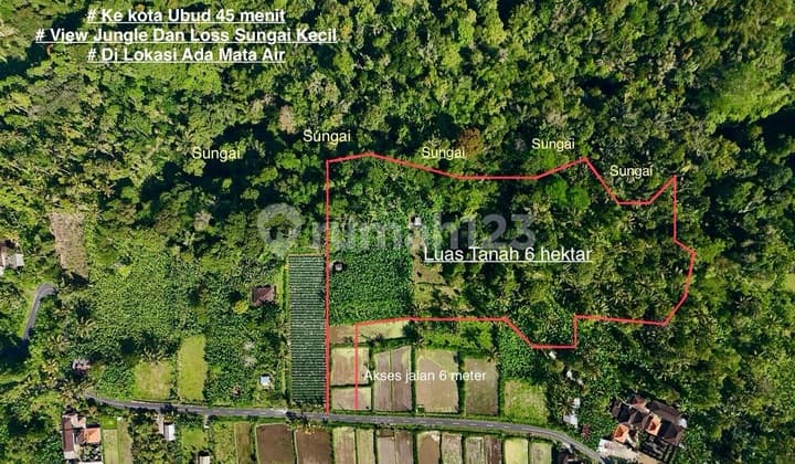 Di Jual Tanah View Hutan,Sawah dan Gunung di Payangan Ubud