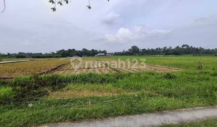 Di Jual Tanah Dekat Pantai Beraban Tabanan