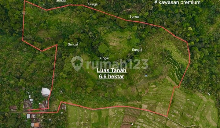 Di Jual Tanah Premium Los Sungai Ayung Ubud