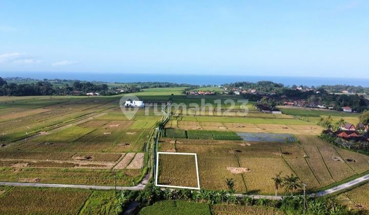 For Sale Premium Small Plot Land Near Kelanting Beach