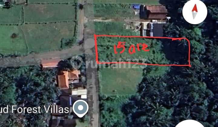 For Sale Small Plot of Land in Ubud