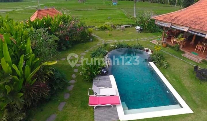 Villa Luas Ramah Lingkungan Daerah Ubud