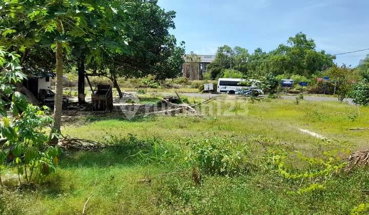 Tanah Premium dan Langka di Pulau Serangan Bali (Turtle Island)