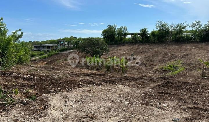 Main Road Land, Belimbing Sari-Pecatu