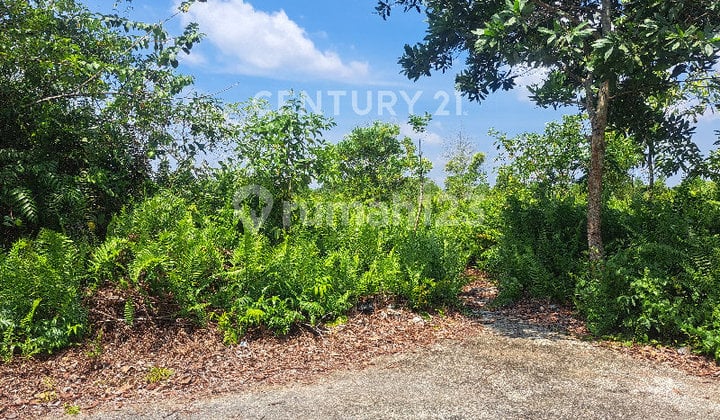 Tanah Kosong Luas 1087 M² Jl Aloevera Pontianak Tenggara