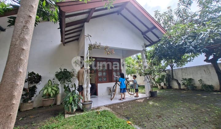 Hunian Adem di Kendal - Halaman Luas & Banyak Pohon