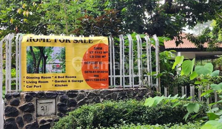 Rumah Luas & Asri 1 Lantai di Bogor - Cocok untuk Huni atau Cafe