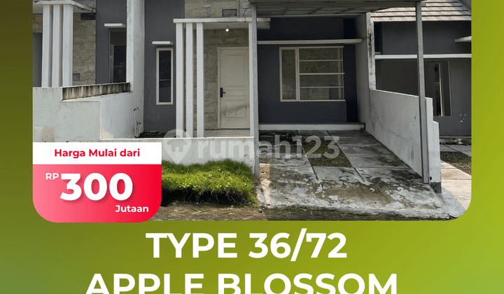 Type Apple Blossom 36/72 Block B1-20, Affordable Price