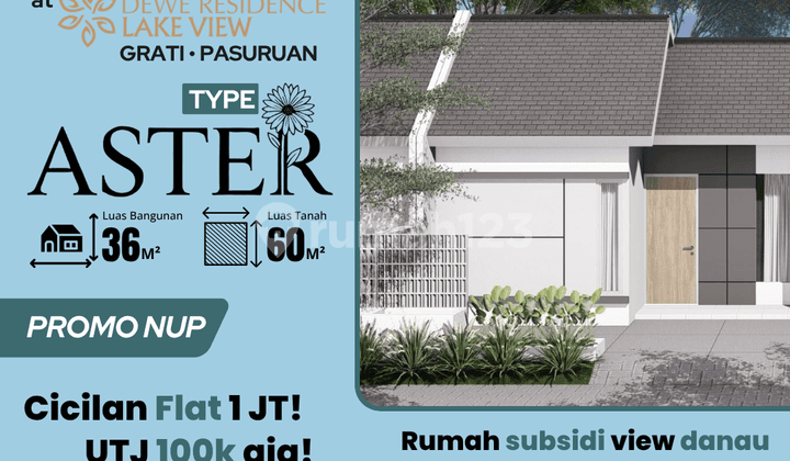 Rumah Murah Grati Pasuruan Tipe Aster Blok P1 No 08