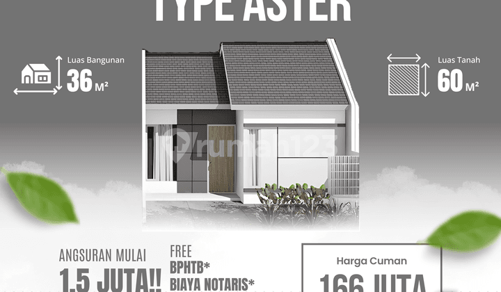 Rumah Baru Aster Grati 166Jt, Cicilan 1Jt-an, Booking 100Rb Saja