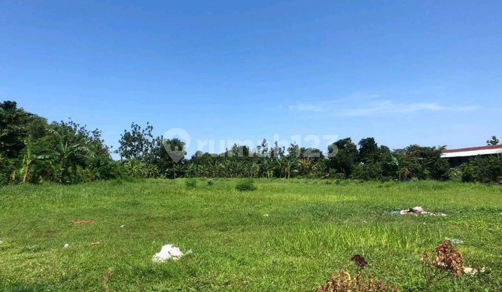 Tanah Nol Jalan Raya di Sedati Sidoarjo