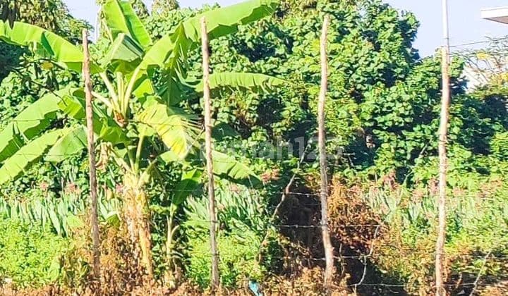 Super Strategic Land Ready to Build in Sedati