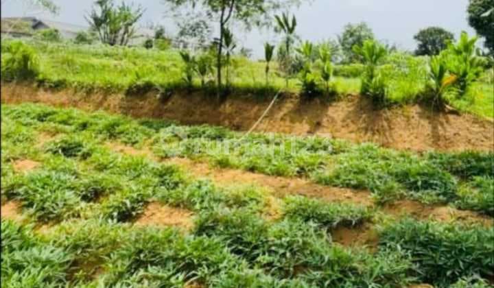 Jual Cepat Tanah Di Sukabumi