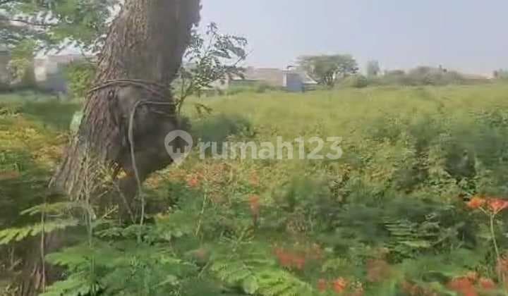 DIJUAL TANAH KAVLING - HARAPAN INDAH 2 (Harga : 1,4 Juta/m² NEGO)