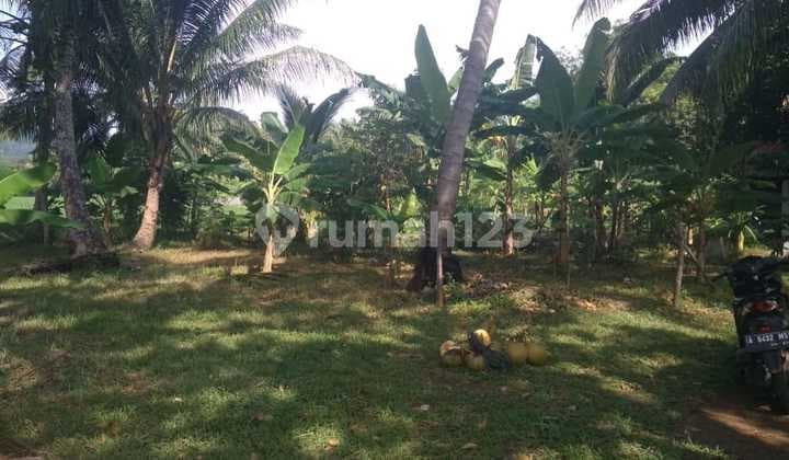 Dijual cepat tanah di Pantai Carita, Banten. Lokasi Strategis Pinggir jalan, hadap pantai.