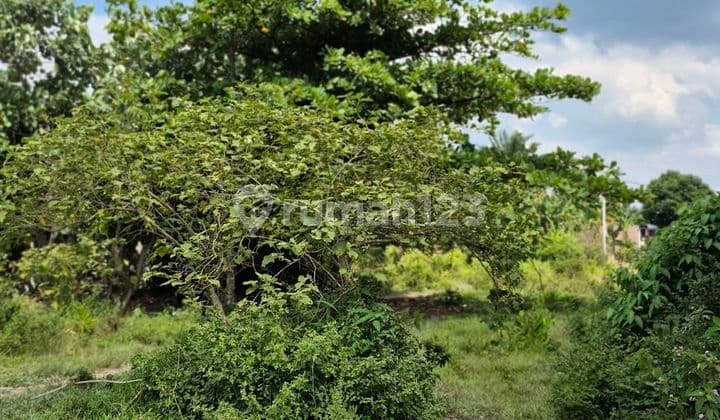 Tanah Kosong Depan Pesantren Bandar Kalipa Percut Sei Tuan