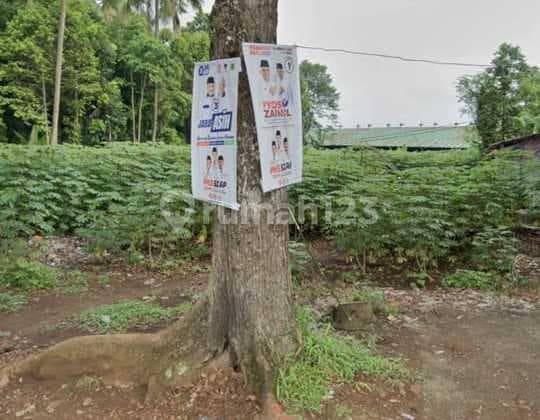 Jual Tanah. Cocok Untuk Perkebunan