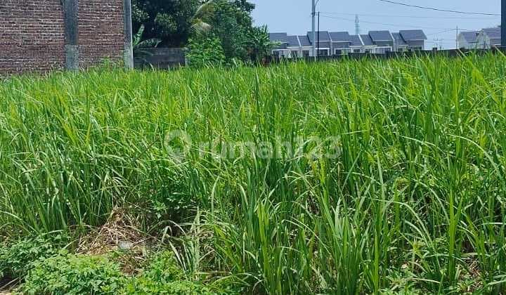 Dijual !! Kavling Siap Bangun, 123 M, Tapos, Depok, Dlm Perumahan