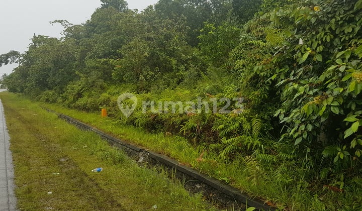 Dijual !! Tanah di Belitung, +/- 5.800, Sijuk, Jalan Utama Wisata