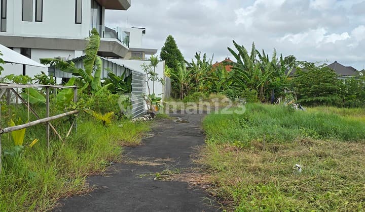 Tanah Langka di Gunung Salak Kerobokan