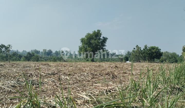 For Sale Agricultural and Livestock Industrial Land